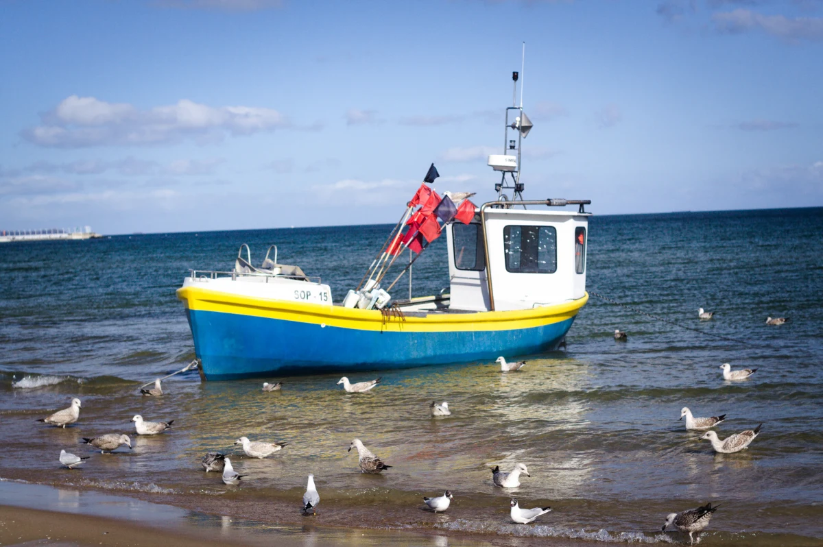 Jeszcze tylko dziś można zapłacić Polskim Bonem Turystycznym. Wpłatę zaliczki na planowany np. w wakacje wyjazd można zrealizować do północy 31 marca 2023 roku. To także ostateczny termin na przyjęcie płatności przez przedsiębiorców turystycznych.