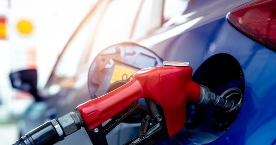 W przedświątecznym tygodniu spodziewane są podwyżki cen benzyny na niektórych stacjach paliw, które wyniosą do kilku groszy na litrze - poinformowali w komentarzu analitycy Refleksu. Przewidują oni także obniżki cen oleju napędowego, ale niższe niż ostatnio.