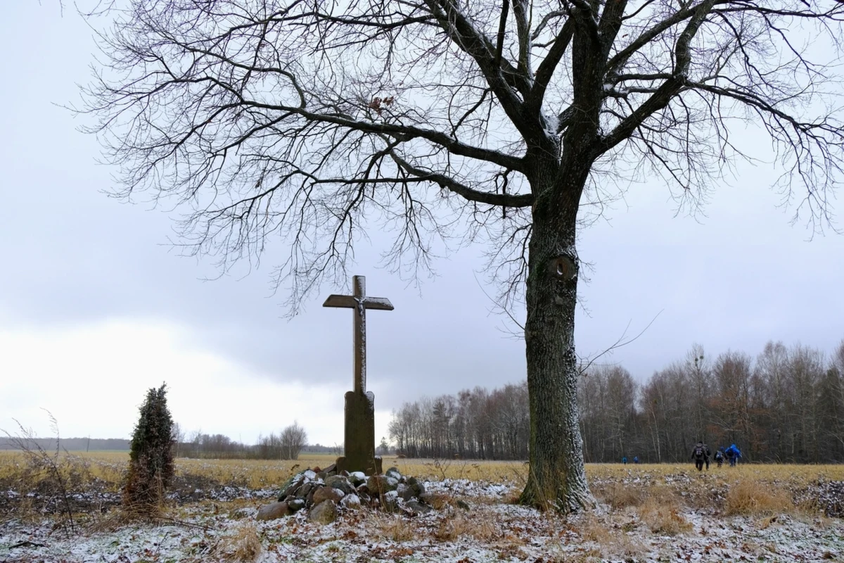 Oszuści podający się za agentów CBŚP przekonali 89-letniego mieszkańca powiatu bialskiego, by przekazał im gotówkę. Mężczyzna stracił prawie 100 tys. złotych. Sprawców szukają teraz policjanci.