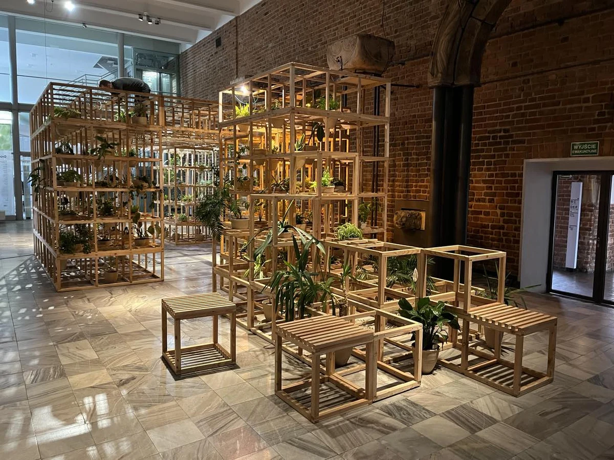 We wrocławskim Muzuem Architektury można oglądać niecodzienną instalację artystyczną, której głównymi bohaterami są rośliny. Nazwano ją Greenhouse Silent Disco. 