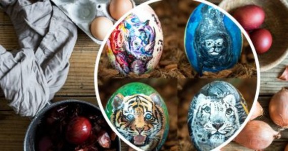 1 kwietnia we wrocławskim zoo ruszyła wielkanocna aukcja z jajem. To charytatywna licytacja pisanek, ręcznie malowanych przez pracowników zoo.