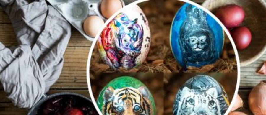 1 kwietnia we wrocławskim zoo ruszyła wielkanocna aukcja z jajem. To charytatywna licytacja pisanek, ręcznie malowanych przez pracowników zoo.