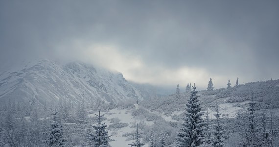 Zima wróciła do Zakopanego. Od rana sypie śnieg i taka pogoda ma się utrzymać aż do czwartku. Wielu turystów jednak cieszy się z takiej aury.