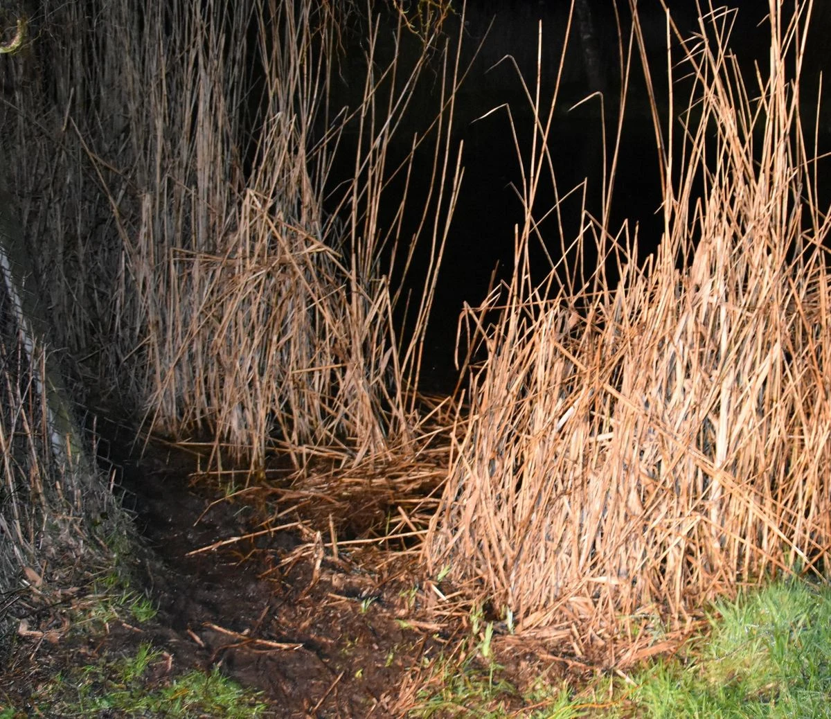 Ze zbiornika wodnego w gminie Żyrzyn wyłowiono ciało mężczyzny, którym okazał się 60-letni mieszkaniec regionu. Pod nadzorem prokuratora policja w Puławach wyjaśnia szczegółowe okoliczności tego tragicznego zdarzenia.
