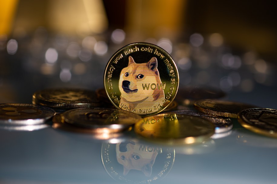 Musk zmienił logo Twittera. Akcje Dogecoin poszybowały