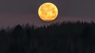 Pełnia Księżyca w kwietniu 2023. Kiedy oglądać Różowy Księżyc?