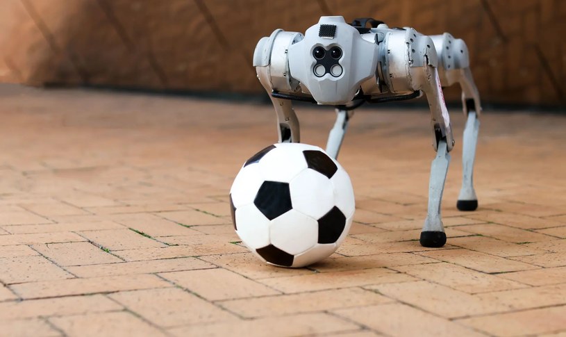 Laboratorium sztucznej inteligencji Massachusetts Institute of Technology (MIT) opracowało czworonożnego robota w stylu słynnego Spota od Boston Dynamics, który potrafi dryblować w rzeczywistych warunkach zbliżonych do boiskowych. I choć DribbleBot do reprezentacji jeszcze się nie załapie, to jego umiejętności są naprawdę imponujące.