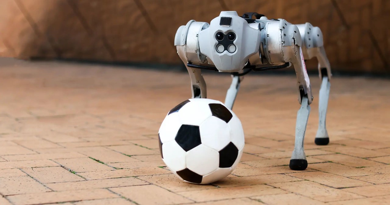 Laboratorium sztucznej inteligencji Massachusetts Institute of Technology (MIT) opracowało czworonożnego robota w stylu słynnego Spota od Boston Dynamics, który potrafi dryblować w rzeczywistych warunkach zbliżonych do boiskowych. I choć DribbleBot do reprezentacji jeszcze się nie załapie, to jego umiejętności są naprawdę imponujące.