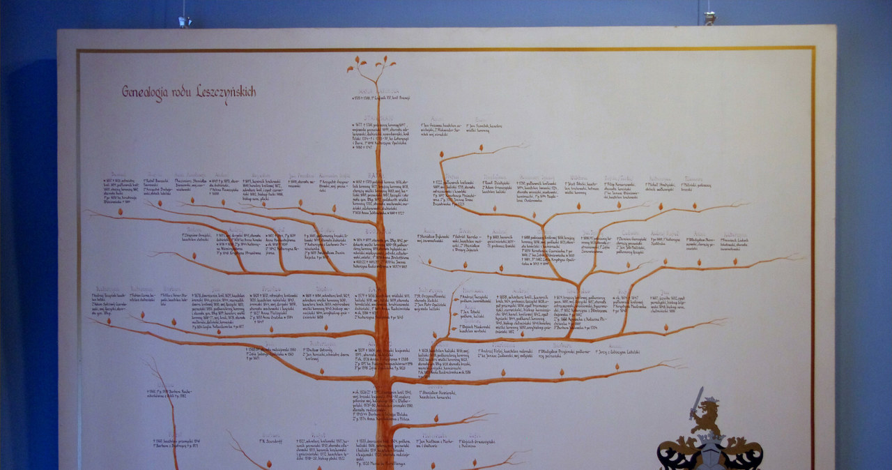 Chcesz, wiedzieć, więcej, temat, swojego, pochodzenia, Dowiedzieć, byli, twoi, przodkowie, Zrób, drzewo, genealogiczne, dzięki, W święta zrób z rodziną... drzewo genealogiczne. Zobacz jak