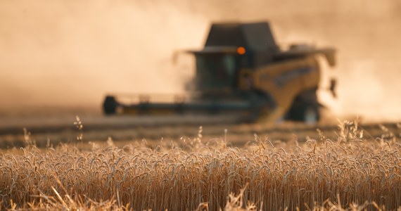 Od środy rolnicy z Polski, Bułgarii i Rumunii skorzystają ze wsparcia rekompensującego ich straty spowodowane zwiększonym importem zbóż i nasion roślin oleistych z Ukrainy - napisał na Twitterze unijny komisarz ds. rolnictwa Janusz Wojciechowski.