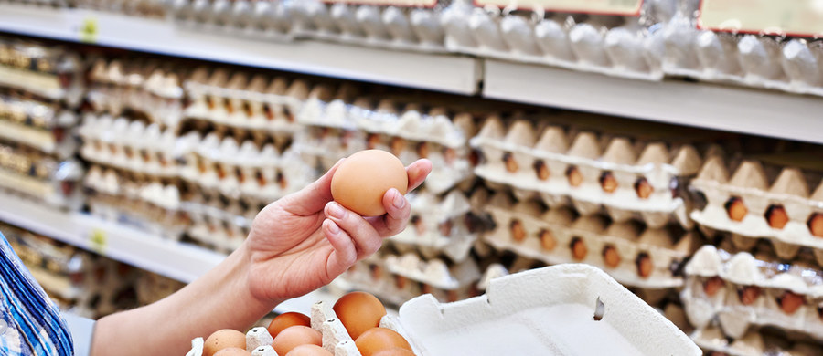 Jajka to prawdziwy skarb natury: zawierają niemal wszystkie kluczowe dla człowieka witaminy i mikroelementy oraz wysokiej jakości białko. Jednak jajko jajku nierówne. Na skorupce możemy nie tylko znaleźć informacje o tym, skąd pochodzi, lecz także dowiedzieć, w jaki sposób kura była hodowana. Dowiedzcie się, jak odczytywać oznaczenia na jajkach!