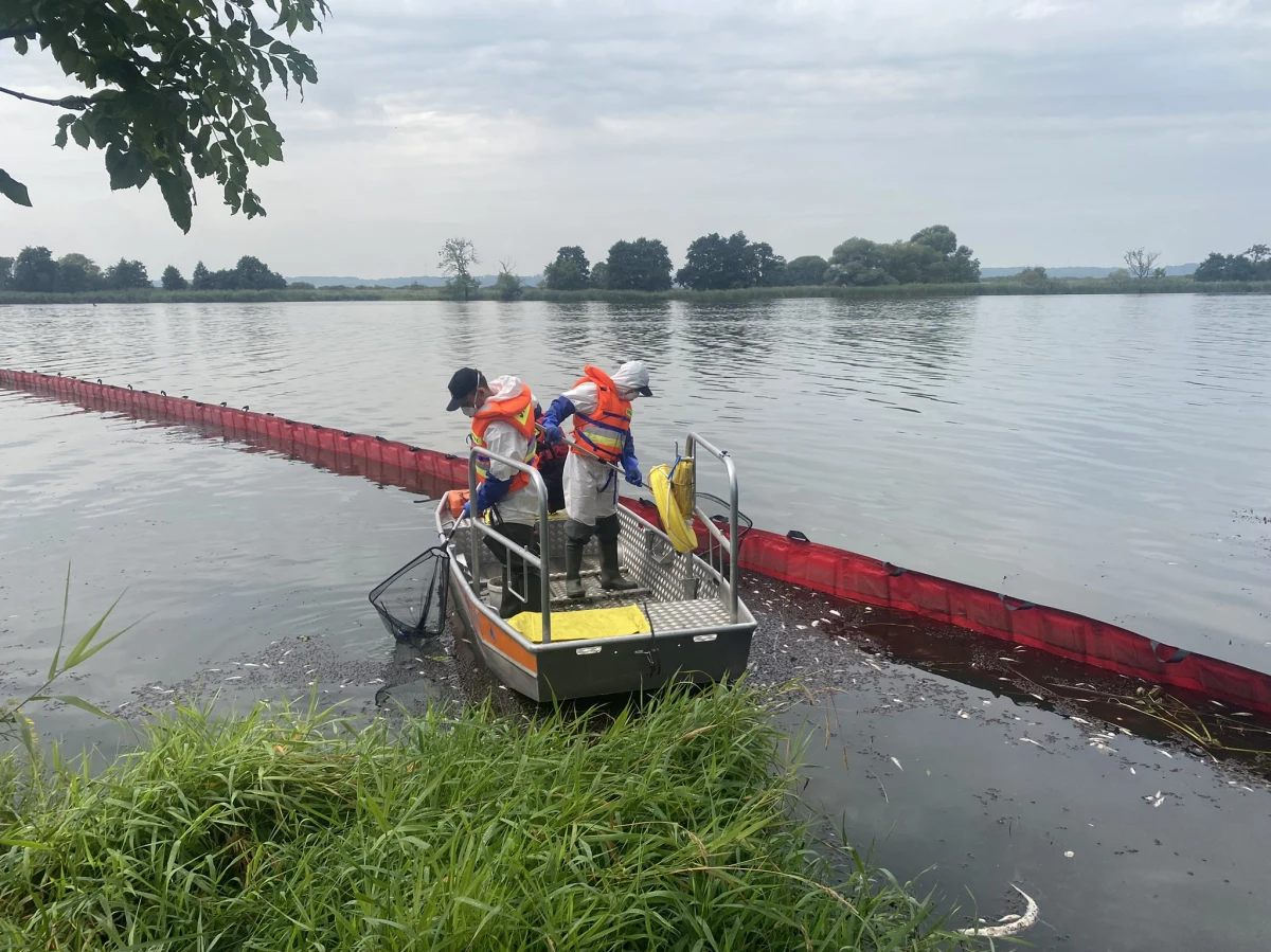 Ruszył pilotażowy 24-godzinny monitoring stanu Odry. Badania prowadzone są przy użyciu automatycznych sond pomiarowych i odbywają się w ośmiu miejscach na rzece - poinformował Główny Inspektorat Ochrony Środowiska. 

