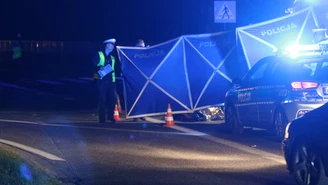 Śmiertelnie potrącił pieszego i uciekł. Policjanci szukają świadków 