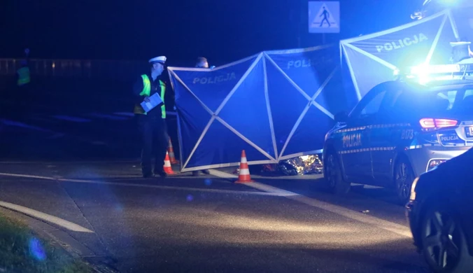 Śmiertelnie potrącił pieszego i uciekł. Policjanci szukają świadków 