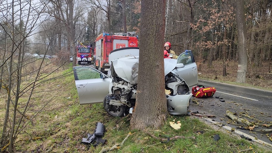 /Komenda Powiatowa PSP w Kamiennej Górze /Facebook