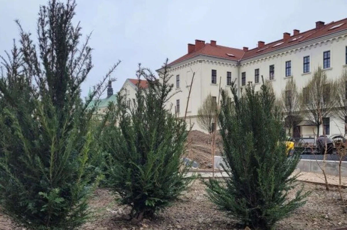 W przyszłym parku im. Wisławy Szymborskiej przy ul. Karmelickiej rozpoczęły się pierwsze nasadzenia. To m.in. 125 drzew, 1600 krzewów, 18,5 tys. bylin i ponad 70 tys. kwiatów cebulowych. Park realizowany w ramach budżetu obywatelskiego z każdym dniem nabiera kształtów. Zostanie udostępniony krakowianom w setną rocznicę urodzin noblistki – 2 lipca.
