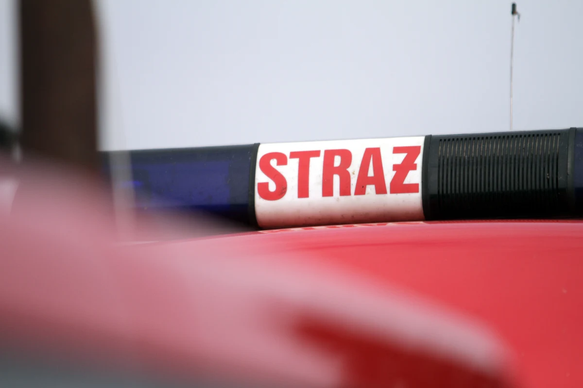 W małopolskiej Trzebini znów zapadła się ziemia – informują strażacy. Zapadlisko znajduje się na terenach leśnych przy ul. Kopalnianej.