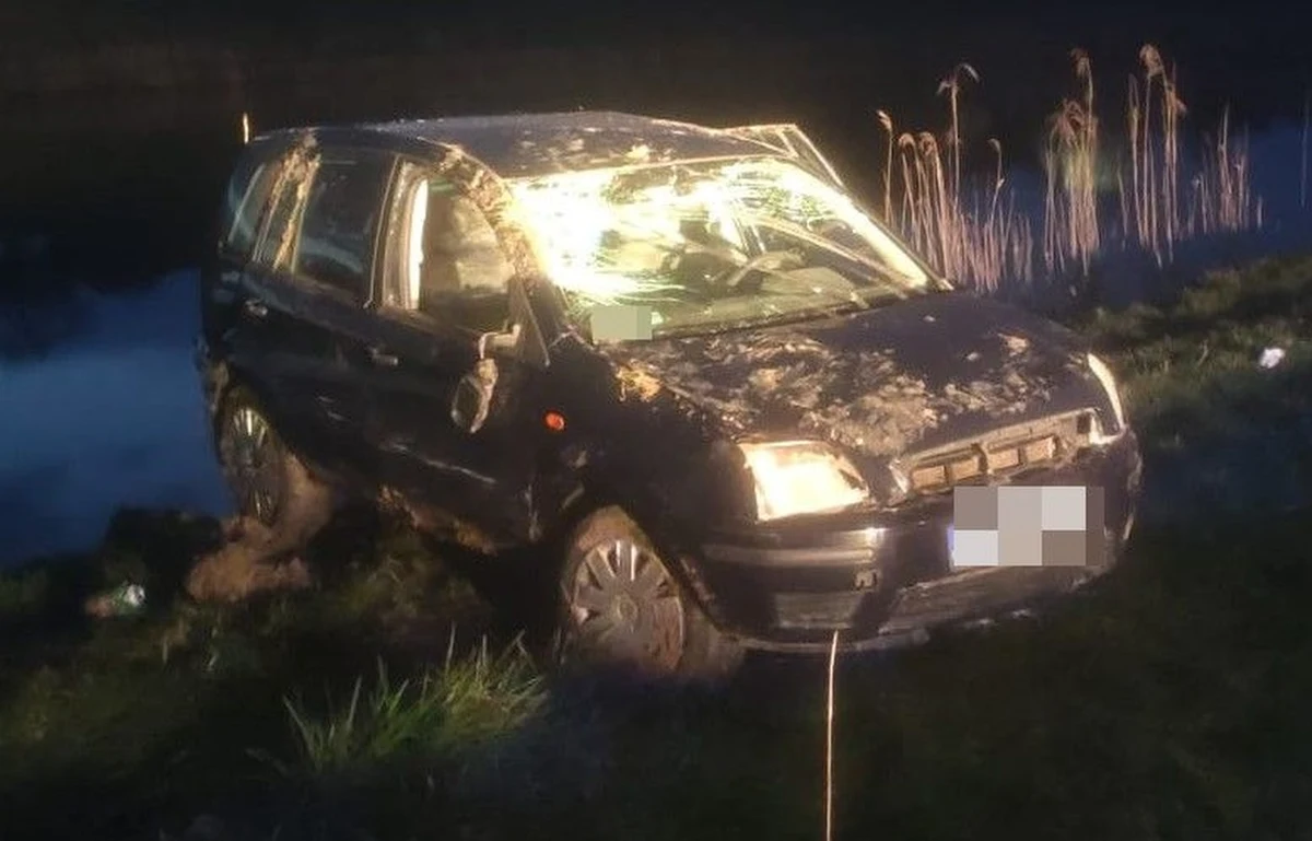 "Skończyły się hamulce" - w ten sposób 53-letnia kierująca osobowym fordem tłumaczyła policjantom powód wjechania samochodem do stawu w Wierzchowiskach Pierwszych w Lubelskiem. Kobieta miała blisko 1,5 promila alkoholu w organizmie.