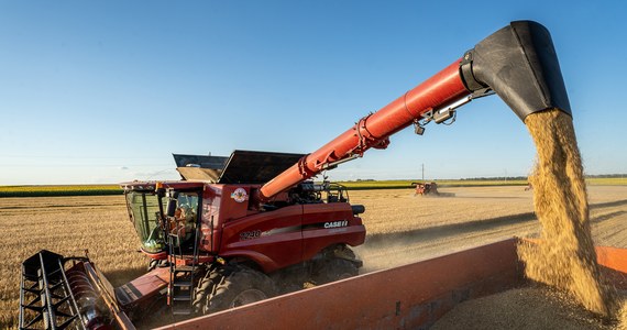 Prokuratura Okręgowa w Zamościu potwierdza, że wszczęła śledztwo w sprawie oszustwa przy zakupie 1025 ton zboża za ponad 1,5 mln zł. Kupcy nie wiedzieli, że zamiast zboża krajowego sprzedano im pszenicę techniczną z Ukrainy. Wczoraj informację taką podała „Rzeczpospolita”.