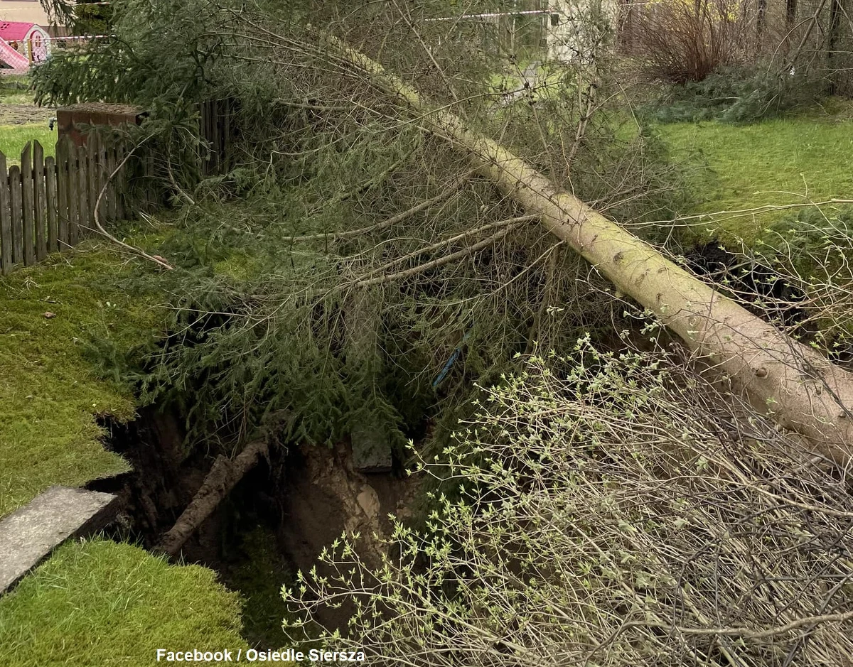 W Trzebini w Małopolsce znów zapadła się ziemia. Informację otrzymaliśmy na Gorącą Linię RMF FM, a fakt ten potwierdziła nam straż pożarna.