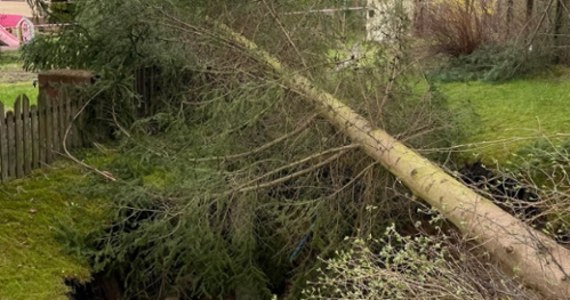 W Trzebini w Małopolsce znów zapadła się ziemia. Informację otrzymaliśmy na Gorącą Linię RMF FM, a fakt ten potwierdziła nam straż pożarna.