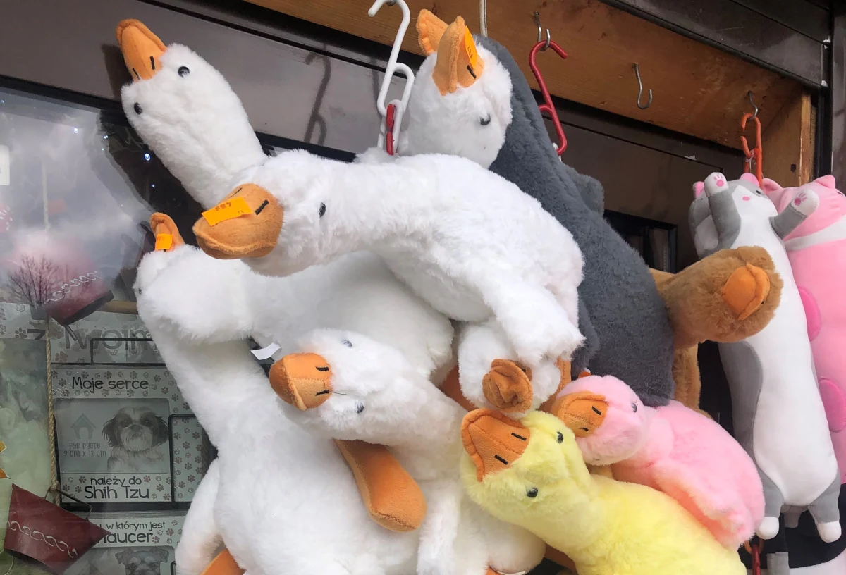 Nie ciupagi, nie kapelusze góralskie czy nawet owieczki, a... pluszowe gęsi - stały się prawdziwym hitem na Krupówkach. Sami sprzedawcy są zaskoczeni, skąd taka ich popularność wśród turystów w Zakopanem.  