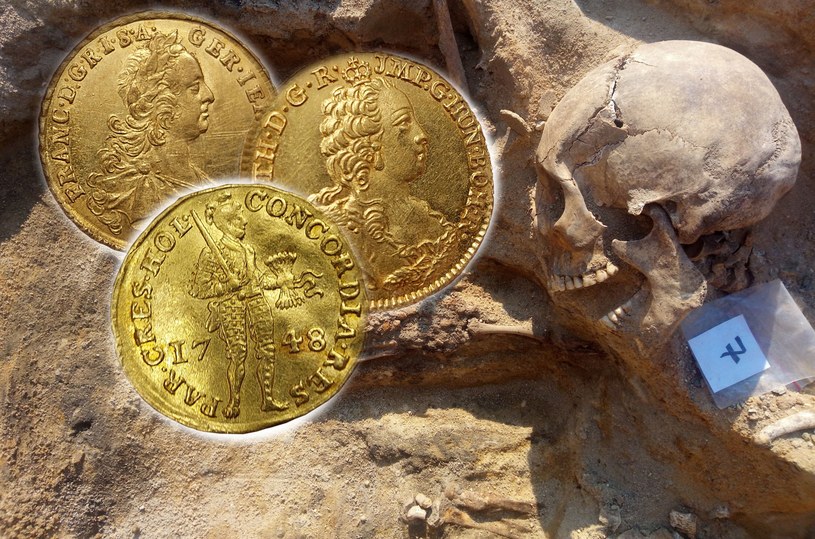 Dolnośląski Wojewódzki Konserwator Zabytków poinformował, że Muzeum Archeologiczne Oddział Muzeum Miejskiego we Wrocławiu poszerzyło swoje zbiory o nowe cenne eksponaty - mowa o złotych monetach znalezionych w masowych grobach ofiar wojen śląskich.