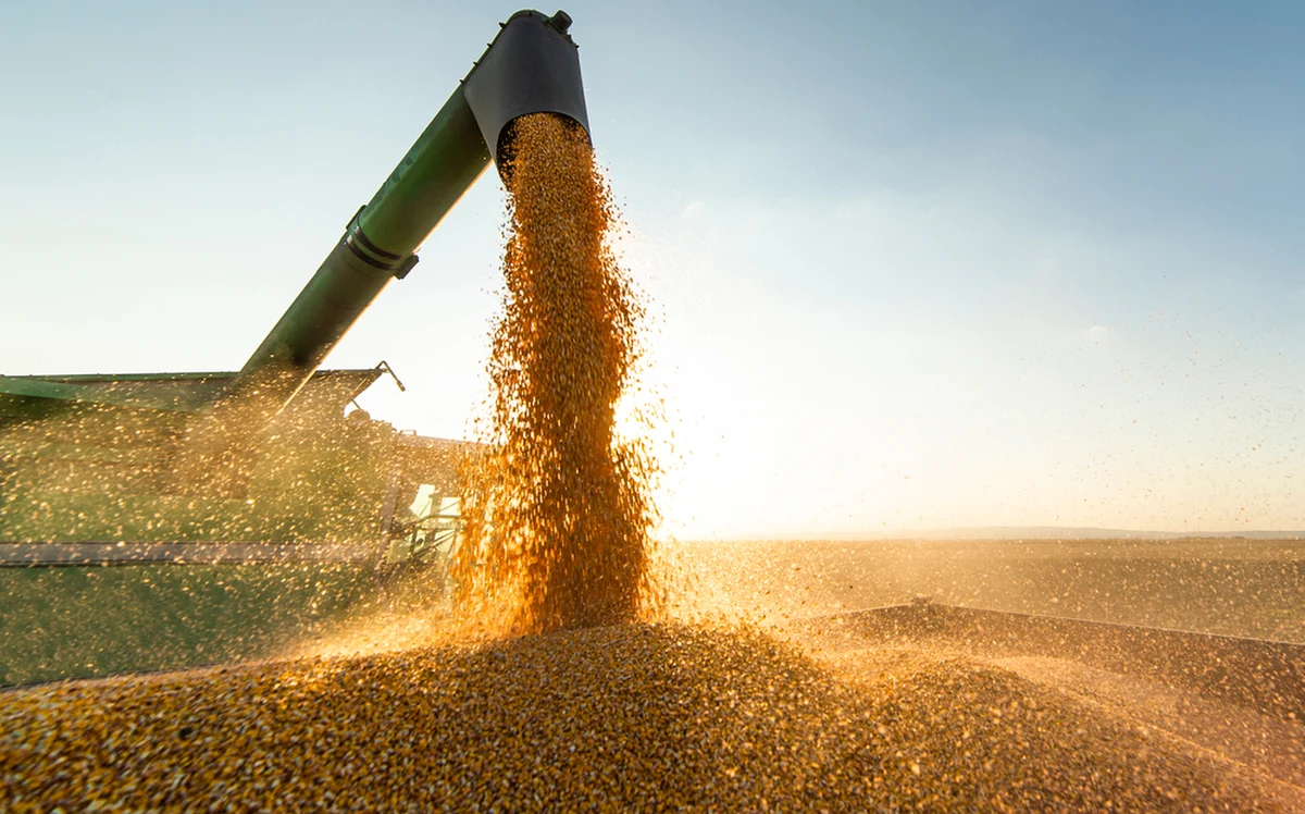 Największa organizacja spółdzielni rolniczych w Europie COPA COGECA wspiera postulaty polskich rolników. "Jeżeli jest konieczność wsparcia Ukrainy bezcłowym importem ze względu na bezpieczeństwo narodowe, to trzeba równocześnie znaleźć rozwiązanie problemów rolników z Polski i krajów sąsiadujących z Ukrainą. Zabiegamy o to w Komisji Europejskiej" - mówi w rozmowie z dziennikarką RMF FM w Brukseli sekretarz generalny tej organizacji Fin Pekka Pesonen.