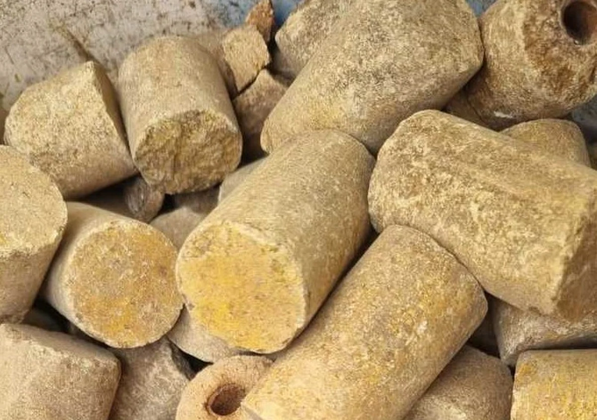 Blisko 3 kg trotylu znalazł podczas prac ogrodowych na swojej posesji mieszkaniec Krynicy Morskiej. Policyjni kontrterroryści zabezpieczyli materiał wybuchowy i zneutralizowali go.

