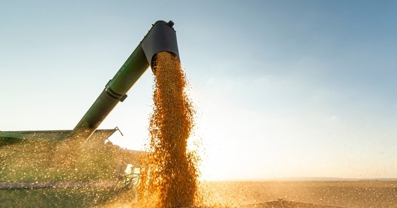 Słowackie ministerstwo rolnictwa zakazało w czwartek wprowadzania na rynek pochodzącego z Ukrainy zboża i wyprodukowanej z niego mąki. Jednocześnie nie wprowadzono zakazu importu ukraińskiego zboża. Decyzja jest reakcją na stwierdzenie w zbożu z Ukrainy groźnego dla zdrowia stężenia pestycydów.