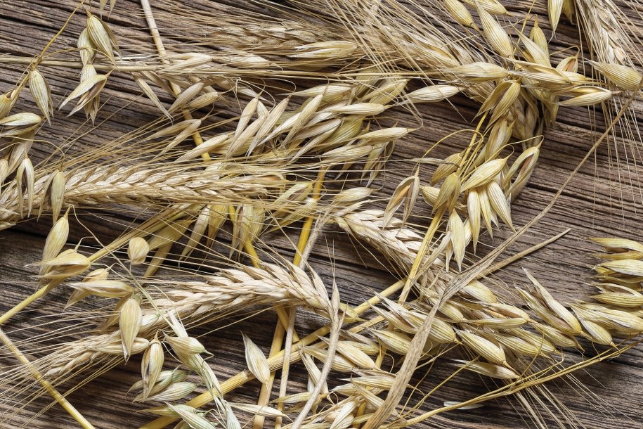 Zboże sprowadzone jako „czyściwo młynarskie”. Spekulanci krok przed służbami