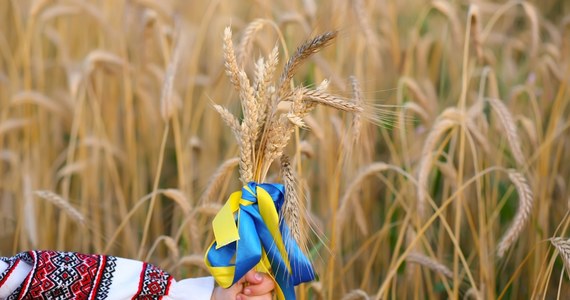 Po decyzji Polski również Węgry tymczasowo zablokowały import ukraińskiego zboża, nasion roślin oleistych i niektórych innych produktów rolnych, aby chronić swój rynek wewnętrzny - poinformował węgierski minister rolnictwa Istvan Nagy.