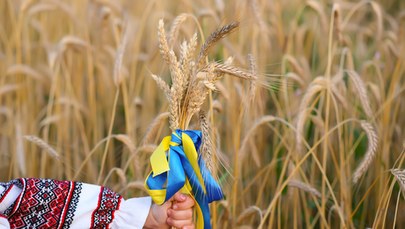 Węgry zakazały tymczasowo importu produktów rolnych z Ukrainy