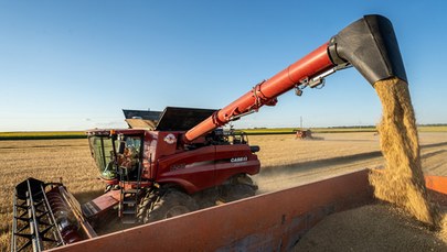 Siedem śledztw ws. importu ukraińskiego zboża 