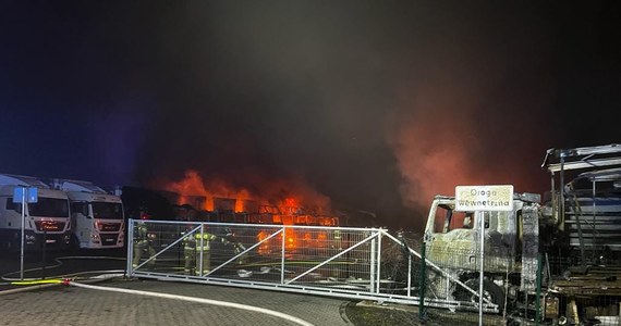 To były podpalenia - tak wynika ze wstępnej oceny biegłego, dotyczącej dwóch pożarów, do których doszło w Osiecznicy niedaleko Bolesławca na Dolnym Śląsku. Spłonęły 22 ciężarówki. Trwa śledztwo. Poszukiwani są sprawcy bądź sprawca.