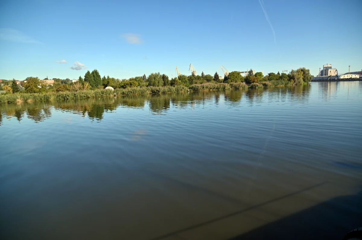 Wiosenny zakwit glonów w Odrze jest największy od lat - alarmują naukowcy. Choć samo zjawisko o tej porze roku jest normalne, to zdziwienie budzi jego skala, charakterystyczna bardziej dla mocno zanieczyszczonego jeziora niż płynącej rzeki.