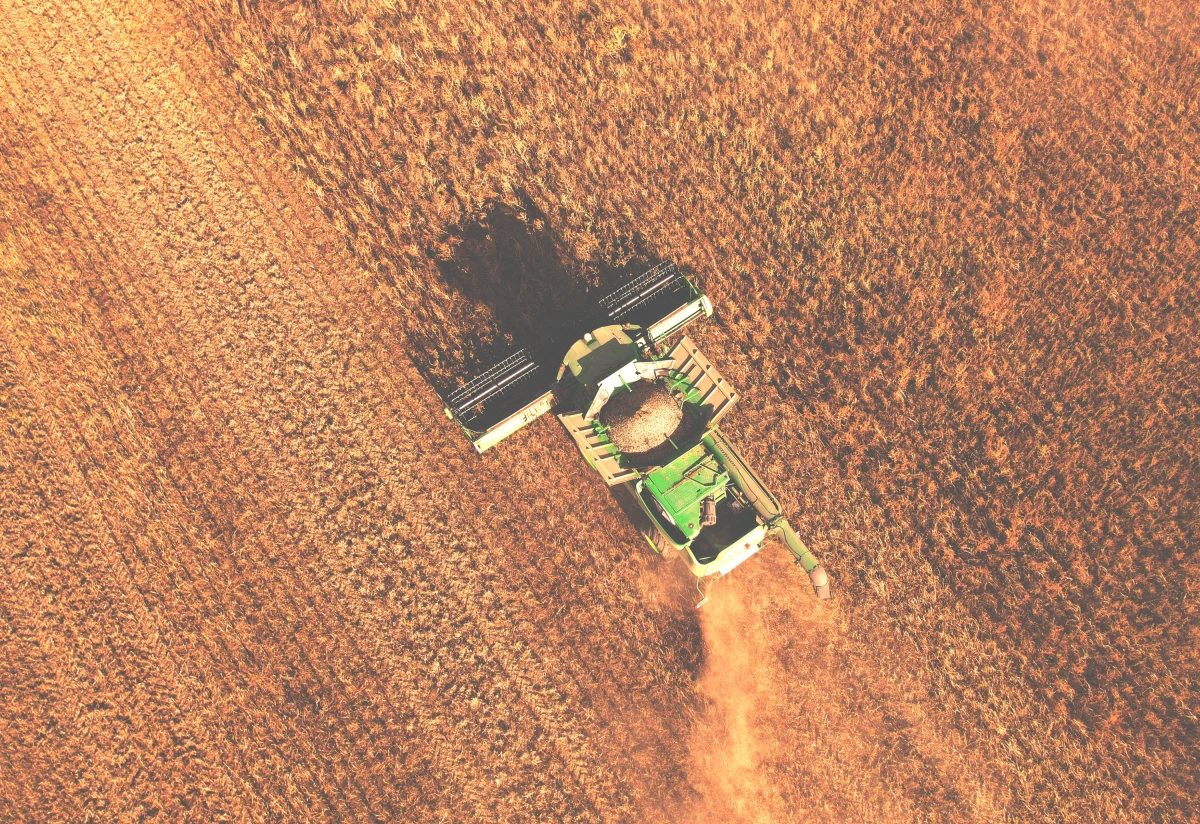 Nawet 50 mln ton zboża - to planowane na ten rok ukraińskie zbiory. Poinformował o tym wiceminister rolnictwa Taras Wysockij ogłaszając start kampanii siewnej w kraju. O rekordowych żniwach także w Polsce mówiła Radiu RMF24 Monika Piątkowska, prezes Izby Zbożowo-Paszowej. Czy znajdzie się miejsce w krajowych magazynach zalanych ukraińskim zbożem?