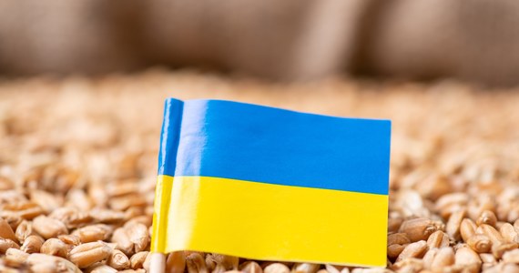 Bułgarski rząd wprowadził tymczasowy zakaz importu żywności z Ukrainy. Nie dotyczy on jednak tranzytu. Poinformował o tym na posiedzeniu gabinetu premier Gyłyb Donew.