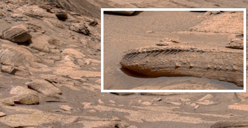 Marsjański łazik Curiosity podzielił się ostatnio zdjęciem z Czerwonej Planety, na którym można zobaczyć coś przypominającego... ogon smoka. Wiele osób zaczęło się zastanawiać, czy to prawdziwa fotografia, czy może jakiś okolicznościowy żart, bo fotka została wykonana 1 kwietnia, zmuszając NASA do wyjaśnień.
