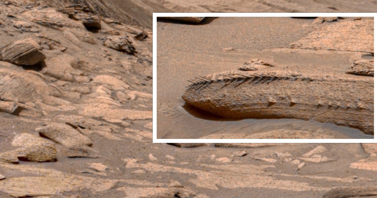 Marsjański łazik Curiosity podzielił się ostatnio zdjęciem z Czerwonej Planety, na którym można zobaczyć coś przypominającego... ogon smoka. Wiele osób zaczęło się zastanawiać, czy to prawdziwa fotografia, czy może jakiś okolicznościowy żart, bo fotka została wykonana 1 kwietnia, zmuszając NASA do wyjaśnień.