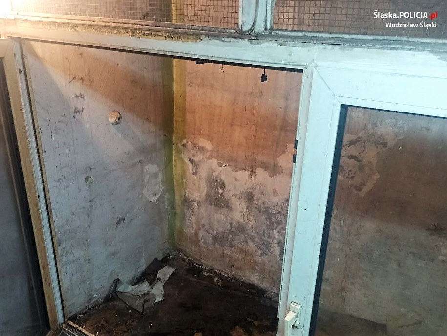 /Komenda Powiatowa Policji w Wodzisławiu Śląskim /Materiały prasowe