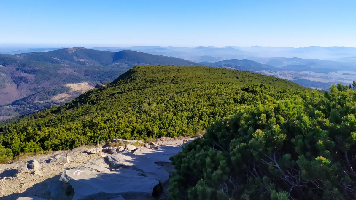Powstanie kolejna wieża widokowa w paśmie Beskidu Wyspowego w Małopolsce. Konstrukcja o wysokości 29 metrów stanie na górze Kamionna. Inwestycję sfinansują okoliczne samorządy i województwo małopolskie, które liczą że zwiększy ona atrakcyjność turystyczną regionu.
