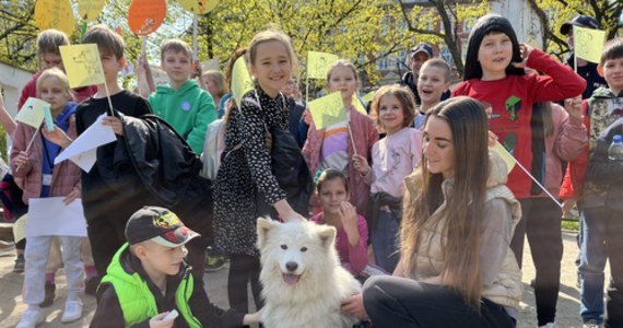Akcja edukacyjna na wrocławskim osiedlu Nadodrze. Uczniowie przypominali dziś właścicielom psów o tym, że podczas spacerów trzeba po nich sprzątać. W trakcie parady rozdawali ciastka i symboliczne mandaty.

