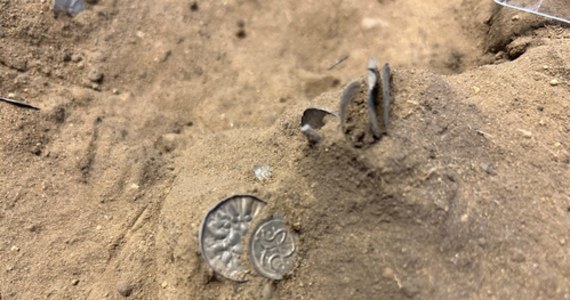 Zbiór liczących 1000 lat srebrnych monet z czasów wikingów został znaleziony w Danii. Odkrycia dokonała kobieta, przeczesująca pole kukurydzy detektorem metali.