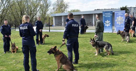 Trzy psy służące od lat w mazowieckim garnizonie policji odeszły na "emeryturę". Czworonogi otrzymały kosze ze smakołykami, witaminami i środkami do higieny, a ich przewodnicy dyplomy - poinformowała koordynatorka ds. psów służbowych asp. Edyta Sułkowska.
