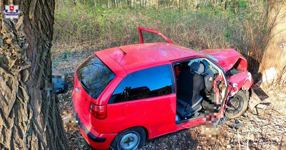 Jedna osoba zginęła w zderzeniu samochodu osobowego z drzewem, do którego doszło dziś rano na drodze wojewódzkiej nr 806 w miejscowości Jelnica (woj. lubelskie). Trasa w miejscu wypadku jest nieprzejezdna.