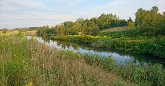 ​W dolinie rzeki Kochłówki w Rudzie Śląskiej z inicjatywy mieszkańców powstanie pierwszy w tym mieście użytek ekologiczny. Dzięki tej formie ochrony przyrody możliwe będzie zachowanie w niezmienionym stanie flory i fauny na obszarze ponad 130 ha.