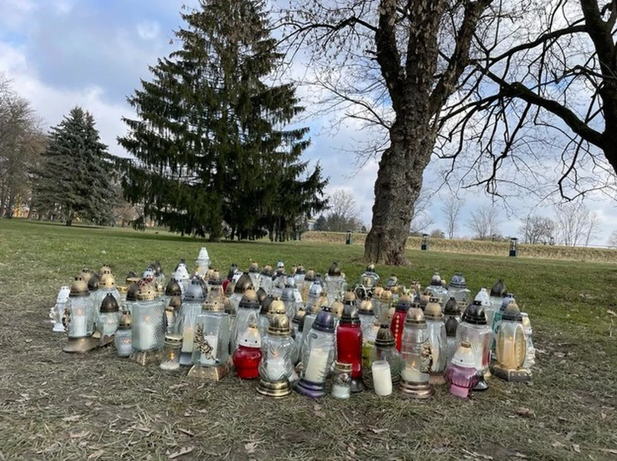 Dwoje nastolatków, zamieszanych w śmiertelne pobicie 16-letniego Eryka z Zamościa, wyszło na wolność. Zostali objęci nadzorem kuratora. Sąd uwzględnił bowiem zażalenia ich obrońców. Jedną z tych osób jest dziewczyna, która wystawiła Eryka jego oprawcom.  