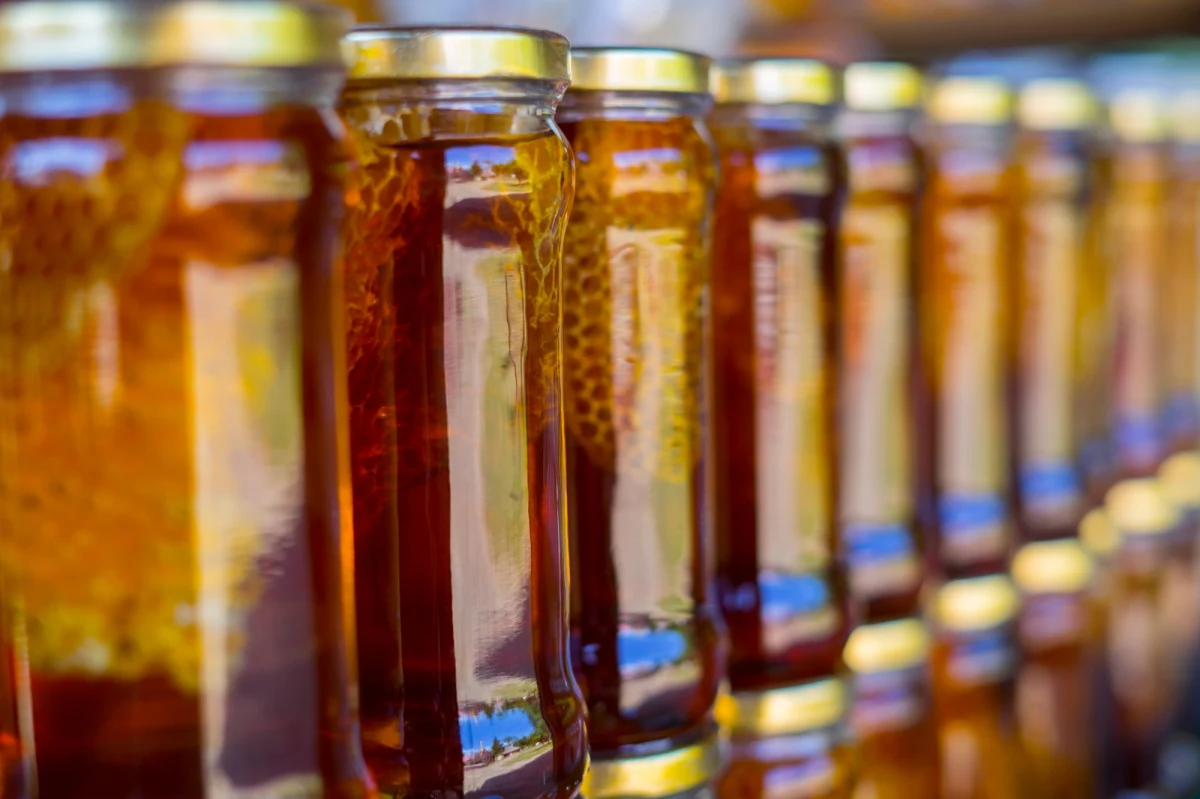 Już w czterech miejscach w Katowicach stoją miejskie ule. Do tej pory pasieki znajdowały się na dachu NOSPR-u i przy dwóch miejskich basenach – w Brynowie i Burowcu. Tej wiosny pojawiła się czwarta pasieka - przy basenie na Zadolu. 