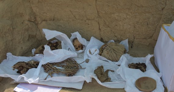 Peruwiańscy archeolodzy na obrzeżach Limy odkryli mumię sprzed ponad tysiąca lat. Znalezisko jest dobrze zachowane - ma kawałki skóry i kępki włosów.